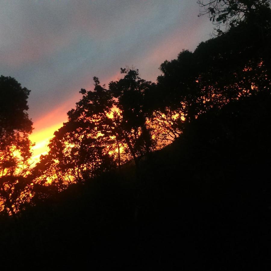 Nas Nuvens Hospedaria Monte Verde Kültér fotó